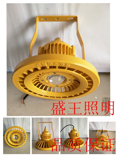 LEDSZSW7450-L100W/250W