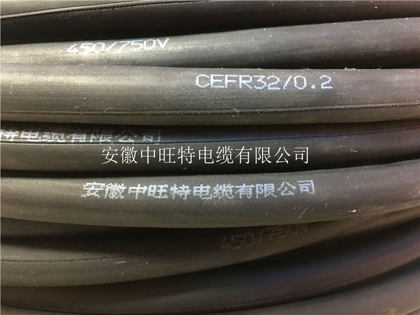 SC-HS-FFPżaSC-HS-FFRPُI