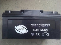 6-FM-65ϵд