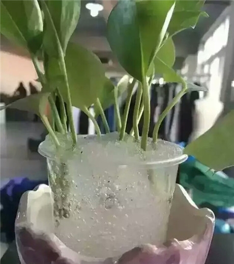 ѴYˮÛ ˮÛS ֱN