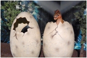 Kģ͹ Ǽ