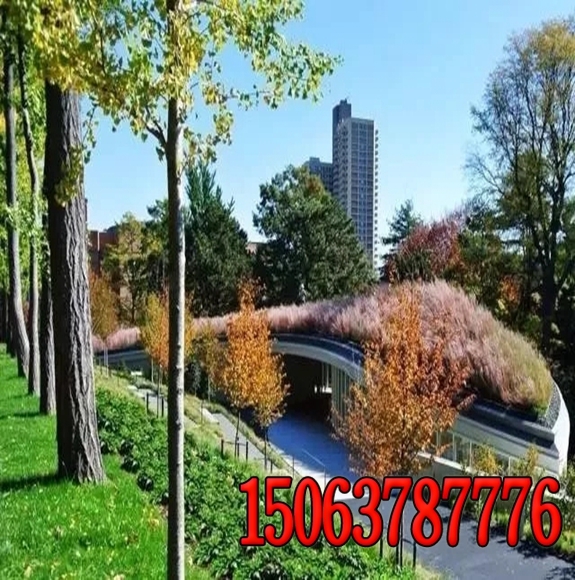 ػo(h)õĲݷNӃr(ji)