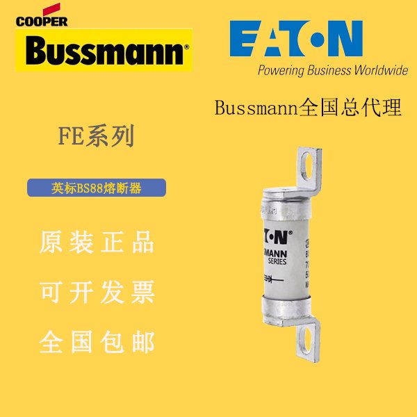 BUSSMANN۶100FEBS88۶690V100A