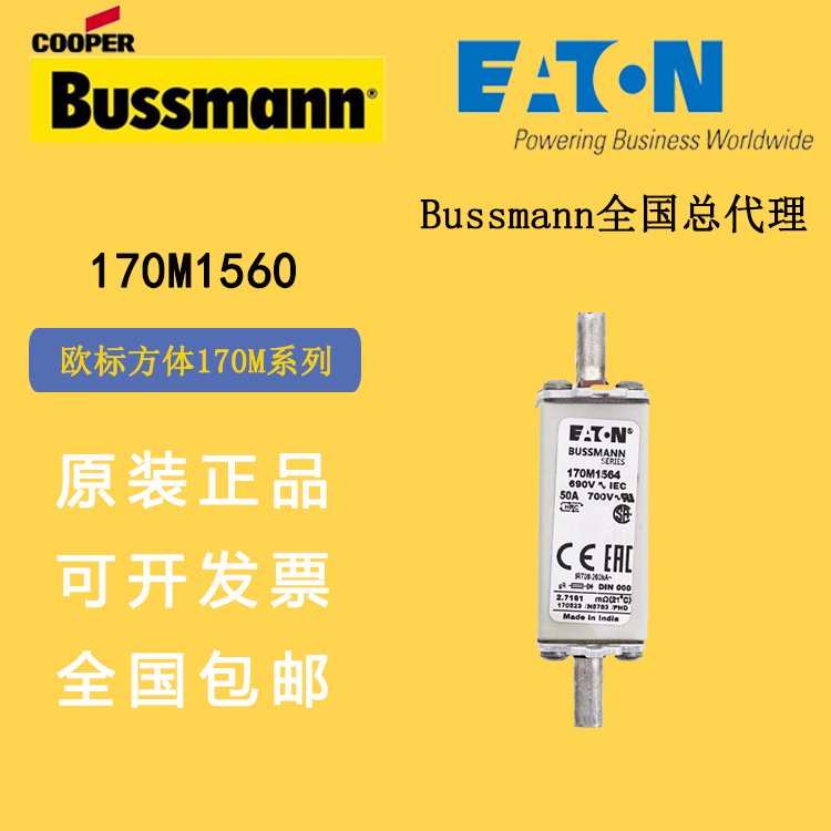 170M1560bussmannѹ۶˹170M