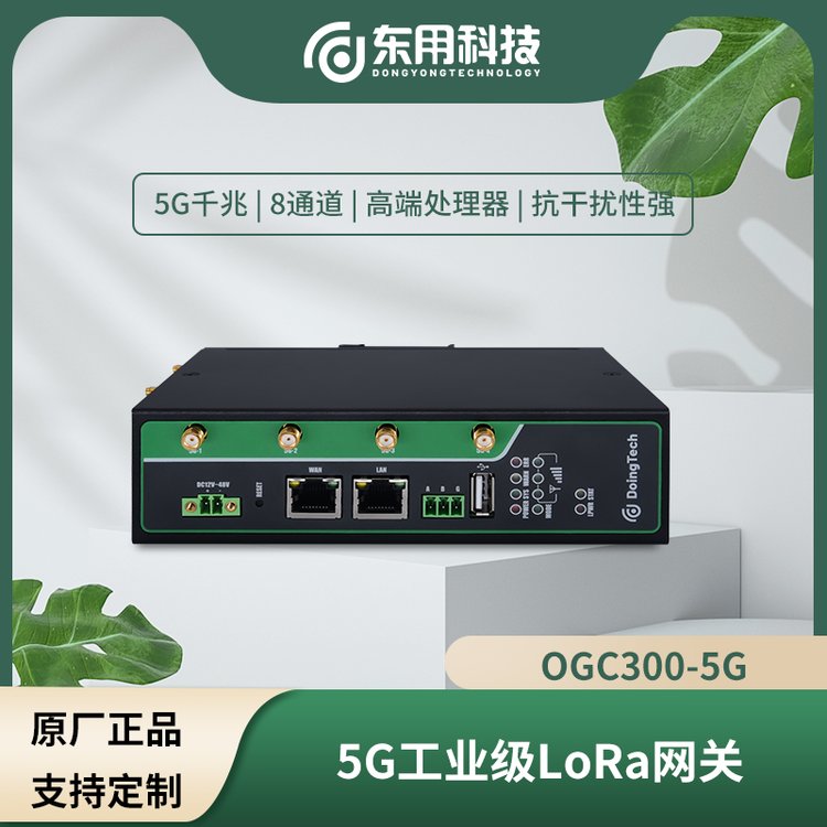 OGC300ILoRaWP5Gǧ15KMݔxԽMW͹