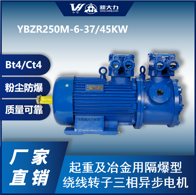´ط늙CYBZR250M-6-37KWBT4CT4ۉm21^