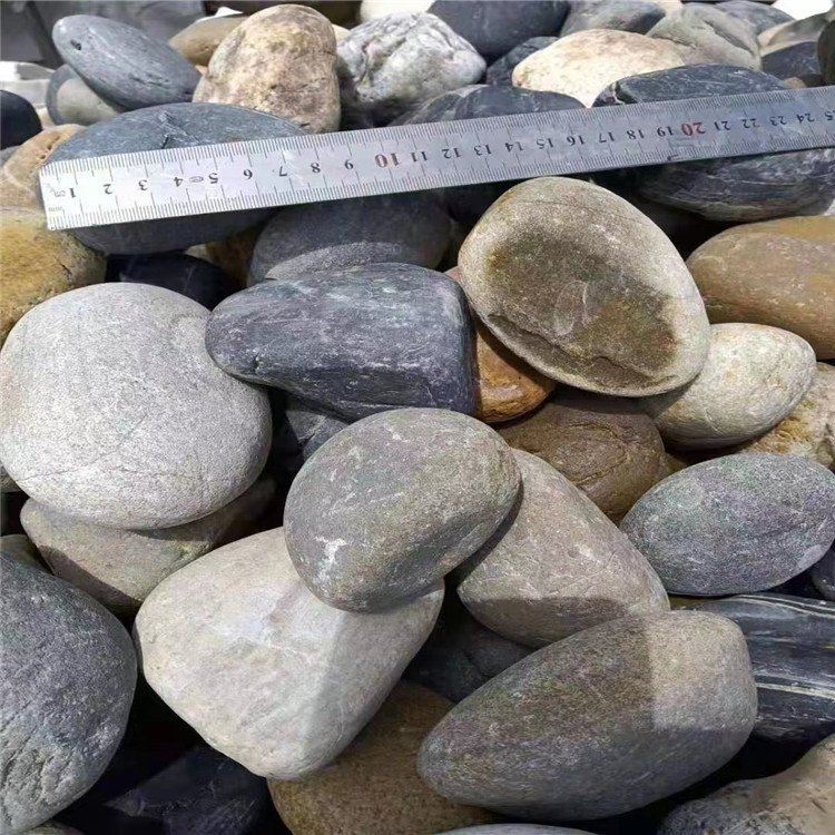 𾰹۶ʯʯȫ