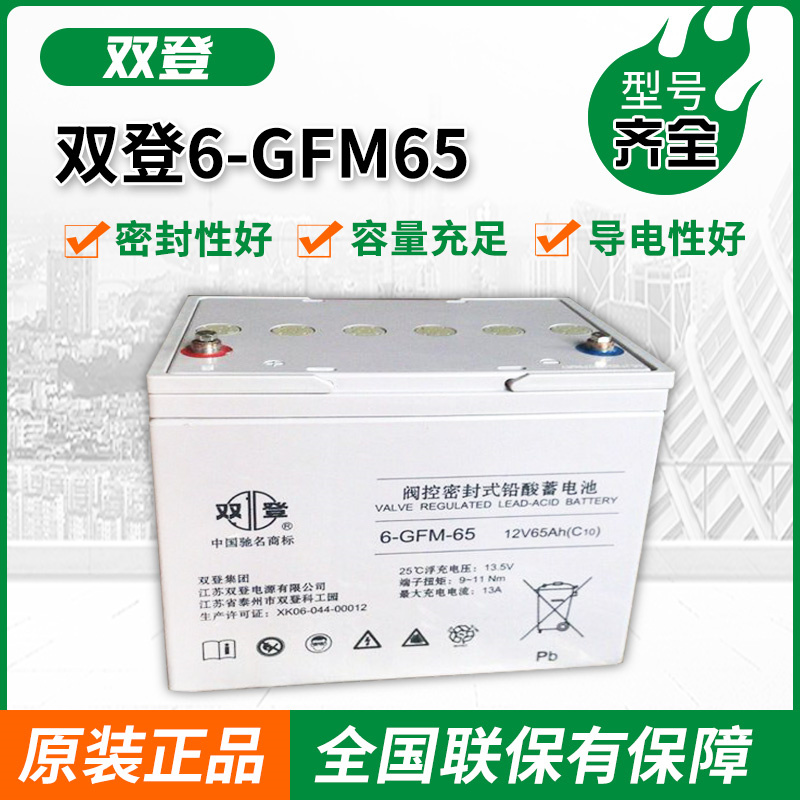 ˫6-GFM65UPS\/EPSֱϵƿϵͳ