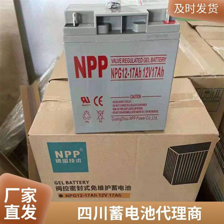 NPPNP100-1212V100AHǦάUPSֱԴ