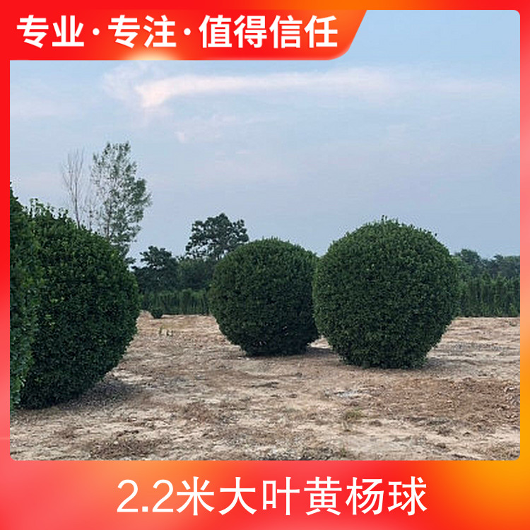2.2״~SƷN@;ر,,Gh