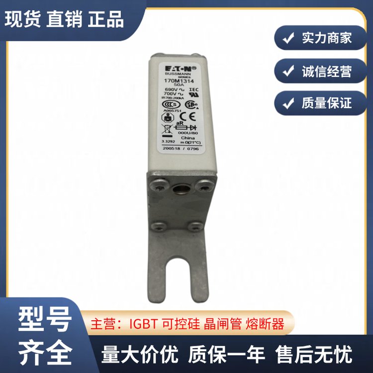 DBUSSMANN˹۔\/U(xin)z\/·170M1316F(xin)؛