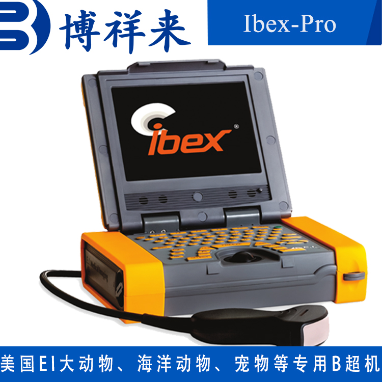 MBC̥zyx128ԪMC8.0l΢͹̽^Pro