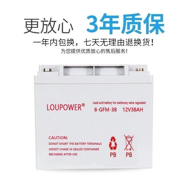 LOUPOWER6-GFM-3812V38AHֱUPSԴר