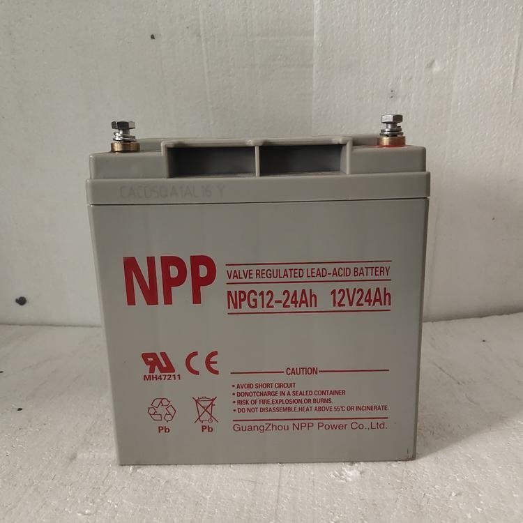 NPP12v24AHʽǦNPG12-24ֱUPSԴ