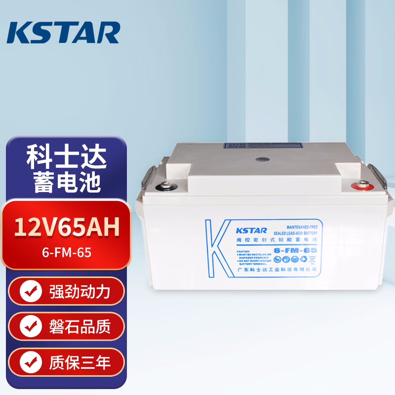 UPSϵԴ6-FM65ʽǦάƷֻ